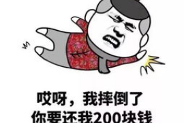 铜陵融资清欠服务